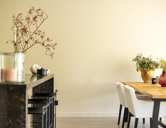 Nieuwbouwprojecten vught